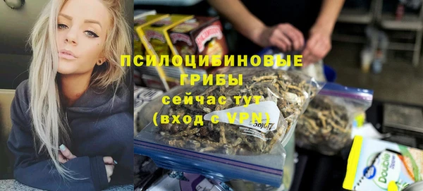 ешки Богданович