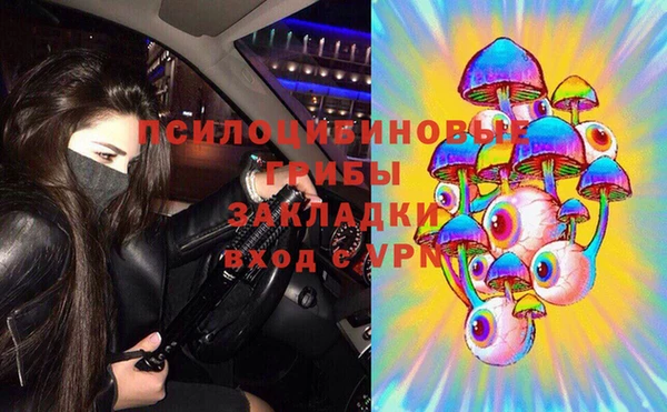 apvp Богородск